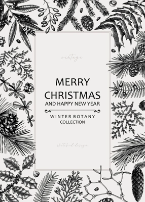 Merry Christmas card. Square frame with evergreen plants, conifers, and nuts drawing. Winter design with hand-drawn botanical illustrations. Christmas background, New Year invitation template
